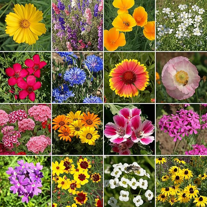 Ferry-Morse Knee-High Mix Bulk Wildflower Seeds, 1lb