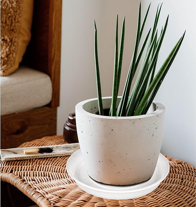 6 Pack of 12 inch Plant Saucer Clear, Heavy Duty Plastic Plant Saucer 12 inch Round, Durable Plant Tray for Pots, Plant Saucers for Indoors, Plant Trays for Planter 10"/11"/12" (12", Clear)