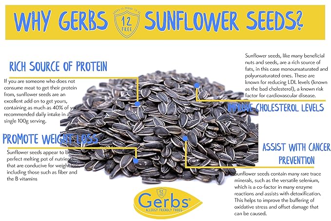Gerbs Jumbo Lightly Sea Salted Whole Sunflower Seeds 14 oz. | Small Batch, No Additives, Resealable Bag | Crack-and-Eat Crunchy Snack | Top 14 Allergen-Free
