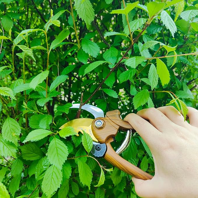 Gardening Tool Set Including Hand Trowel, Transplant Trowel, Cultivator Hand Rake, Pruning Shears and Weeder, Non-Slip Rubber Grip (5 pcs Green)