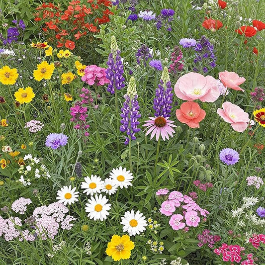 Ferry-Morse Northeast Mix Bulk Wildflower Seeds, 1lb