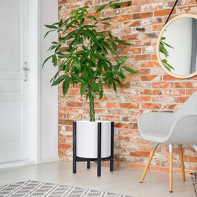 D'vine Dev Planter Pot with Stand - 12 Inch Plastic Cylinder Flower Pot with Wood Planter Holder for Indoor, Matte White Pot + Ebony Stand, 55-C-Q-1