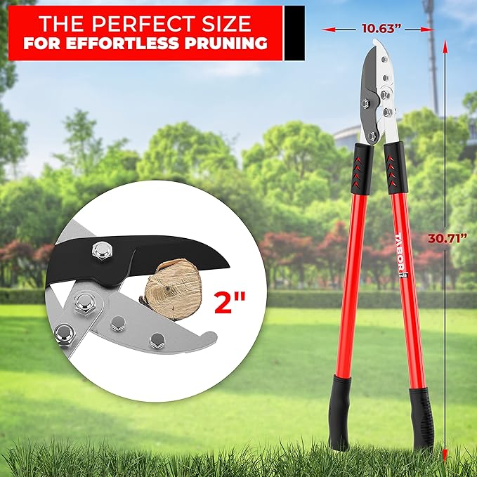 TABOR TOOLS GG12A Anvil Lopper with Compound Action, 30 Inch Tree Trimmer, Thick Branch Cutter with ⌀ 2 Inch Cutting Capacity, Chops Thick Branches with Ease.