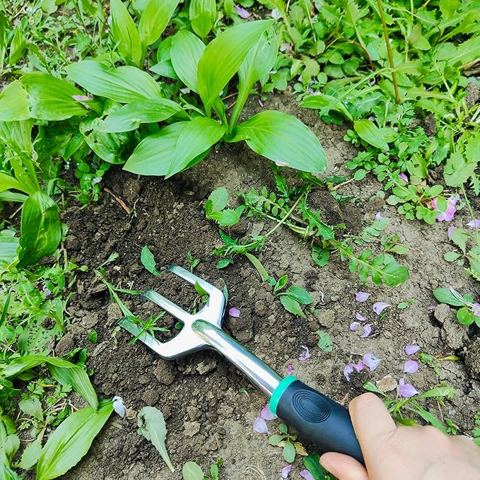 Gardening Tool Set Including Hand Trowel, Transplant Trowel, Cultivator Hand Rake, Pruning Shears and Weeder, Non-Slip Rubber Grip (5 pcs Green)