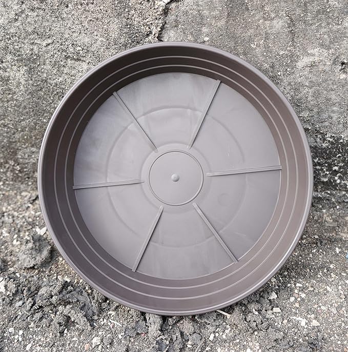 Plant Saucer 14 Inch 2 Pack 6 8 10 12 14 16 18 20 25, Plastic Plant Trays for Pots，Extra-Deep Plant Water Dray Tray, Bird Bath Bowl, Heavy Flower Plant Saucers Indoors and Outdoor No Holes