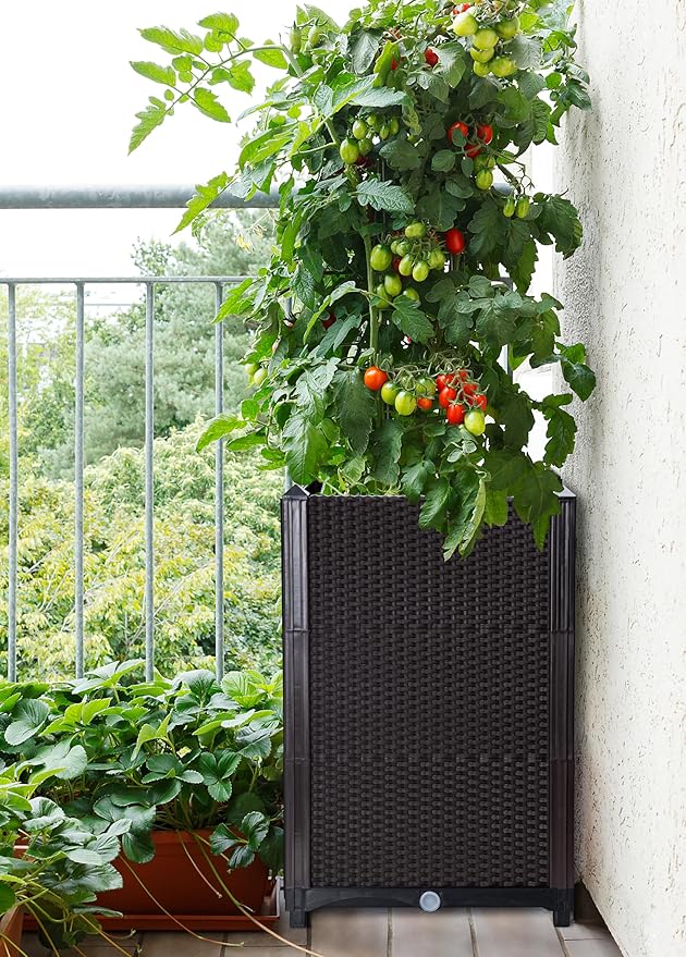 D'vine Dev Raised Patio Planter Box - Elevated Planter with Drainage Plug Raised Garden Beds for Growing Flowers, Herbs, Vegetables - Outdoor Standing Gardening Kit, Set of 1, RGB-D-1
