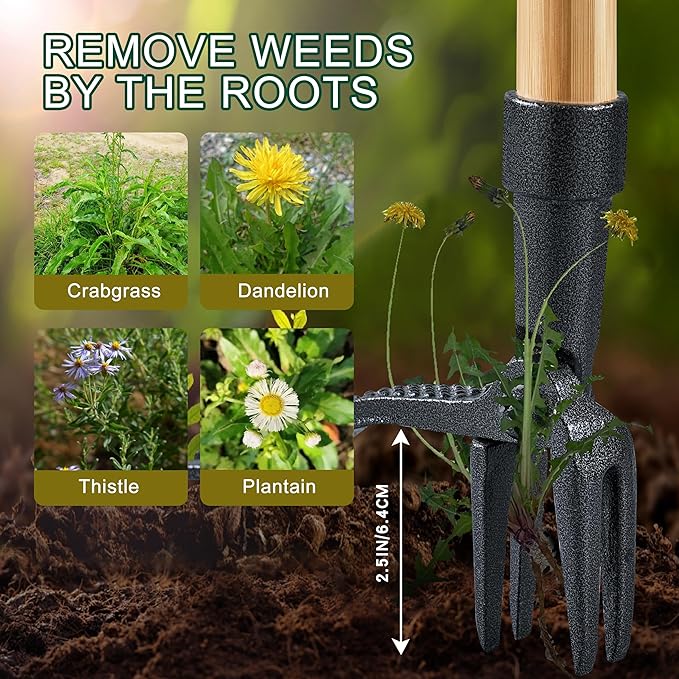 Stand Up Weed Puller Tool, Heavy Duty Weed Remover Tool with Long Handle, 3-Section Real Bamboo Construction - 4 Claw Steel Head Weeder Tool, Eco-Friendly Handle, No More Bendin