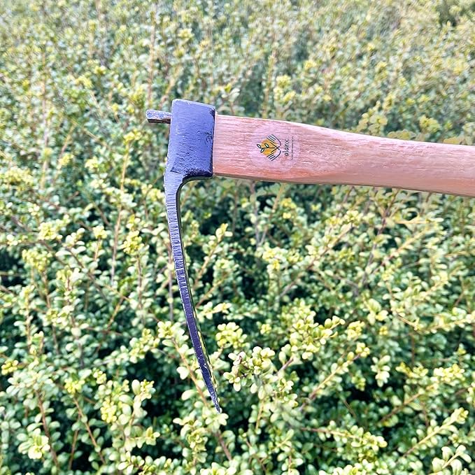 14 Inch Heavy Duty Narrow Hoe, Without Welding, Japanese Carbon Steel with Oak Wooden Handle, Garden Tool for Digging, Weeding, and Planting