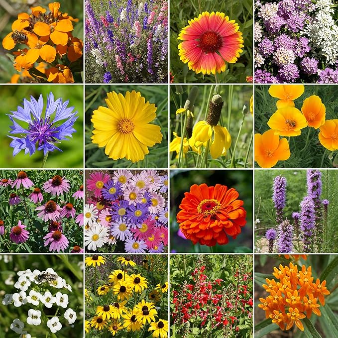 Ferry-Morse Pollinator and Butterfly Mix Bulk Wildflower Seeds, 1lb