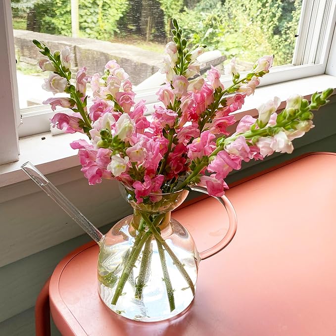 Modern Sprout Plant Watering Can - Handcrafted from Borosilicate Glass - Long Spout Vessel for Indoor Plants - 32 Oz Capacity - Multipurpose Watering Can and Flower Vase for Houseplants (Clear)