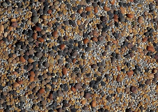 No-Till Cover Crop 13-Seed Mix (½-lb): [50% Clovers Plus Fenugreek, Vetch, Flax, Cowpeas, Buckwheat, Forage Peas, Millet, Lentils, Crimson Clover, Sweet Yellow Clover, White Clover, Medium Red Clover]