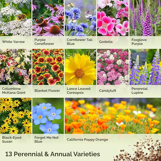 Eden Brothers Deer Resistant Wildflower Mixed Seeds for Planting, 25 lb, 12,000,000+ Seeds with Foxglove, Forget Me Not | Attracts Pollinators, Plant in Spring or Fall, Zones 3, 4, 5, 6, 7, 8, 9, 10