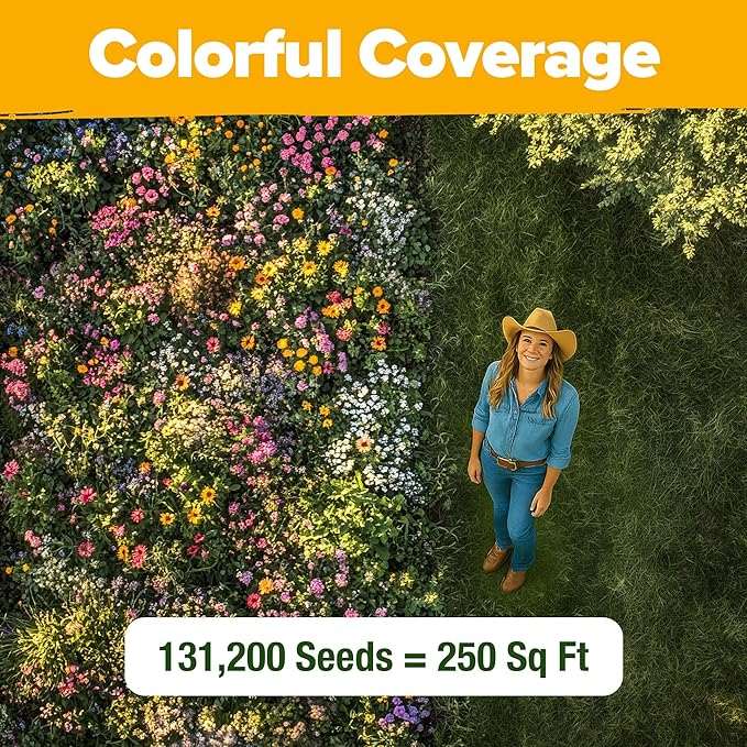 HOME GROWN 131,200+ Pure Wildflower Seeds 𝗨𝗦𝗔 - Premium Texas Flower Seeds [3 Oz] Perennial Garden Seeds for Birds & Butterflies - Wild Flowers Bulk Perennial: 22 Varieties Flower Seed for Planting