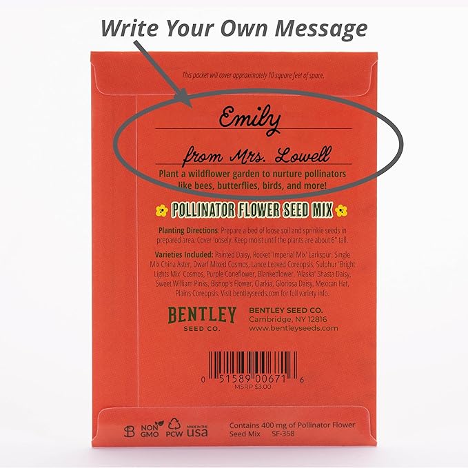 Bentley Earth Day 2025 Bee The Change - Pollinator Flower Mix Seed Packets (25 Packets)