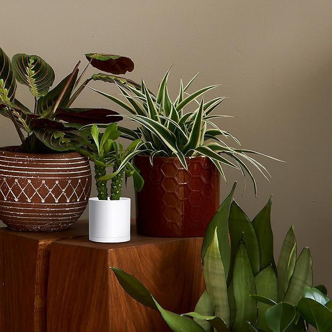 D'vine Dev 6 Pack 4.5 Inch Modern Plastic Plant Pots, Small Garden Planters for Plant with Drainage Holes and Saucers, White Color, 74-Z-F-3