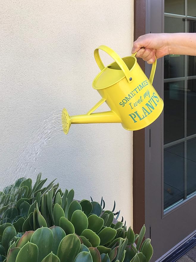 Small Indoor Watering Can - Gardening Gifts for Women -Sometimes I Wet My Plants- 1.6 L - Cute Watering Can for Gardeners - Yellow Galvanized Metal
