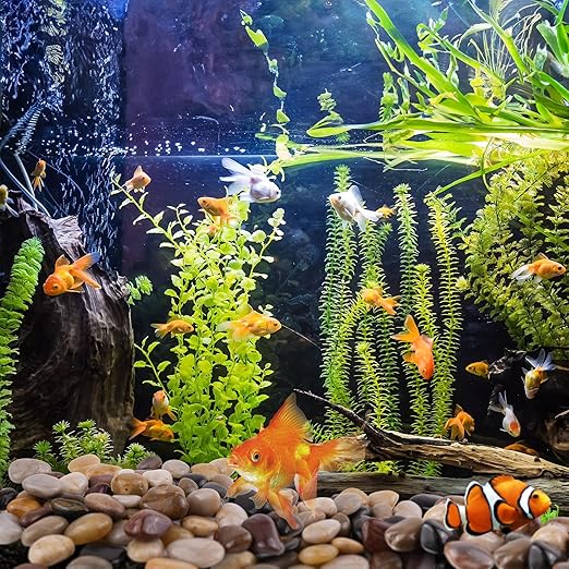 40lbs Pebbles for Landscaping, 1-2Inch Mixed Color Natural River Rocks for Aquarium, High Polished Decorative Stones for Vase Filler Fish Tank Gardening