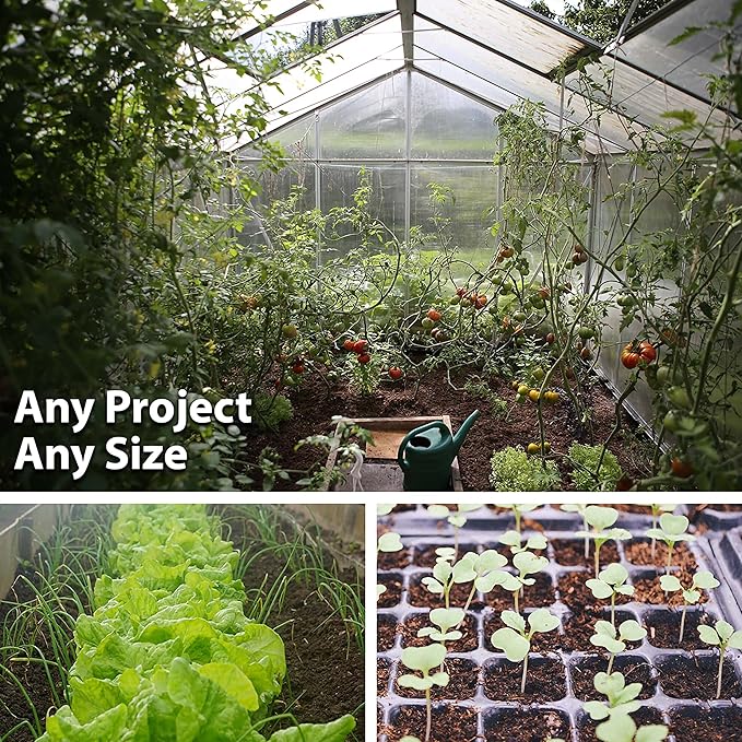 Hummingbird & Butterfly Wildflower Seed Mix - 1 Lb - Wild Flower Seed Mixture: Alyssum, Lemon Mint, Foxglove, More