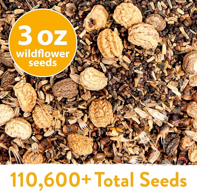 HOME GROWN Wildflower Seeds Mix - 110,600+ Seeds 3 oz, 21 Varieties, Non-GMO Wild Flower Seeds for Planting, Annual Flowers, Butterfly Garden, Pollinator Seed Mix