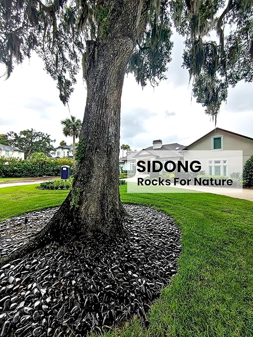 SIDONG 10 lbs Black River Rocks, 1.2-2 Inches Polished Pebbles for Indoor Plants, Aquarium Rocks Used in Fish Tank, Decorative Stones for Plants, Vases, Home Décor, Crafting, Garden Landscaping
