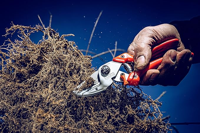Original LÖWE Profi Anvil Prunner Garden Tools 8.107 with Bypass Geometry | Robust & Sharp Hedge Trimmer | Use as Pruners, Garden Shears, Handheld, Pruning Shears for Gardening | Made in Germany