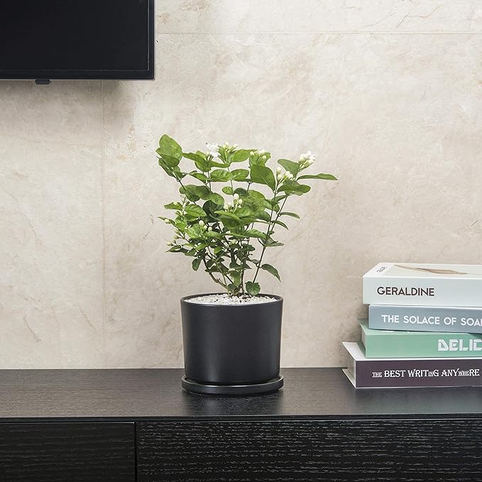 Ekirlin 5 inch Plant Pots,Ceramic Flower Planters Indoor,Modern Succulents Containers with Drain Hole Saucer,Decorate Home,Office & Outdoor (Black)