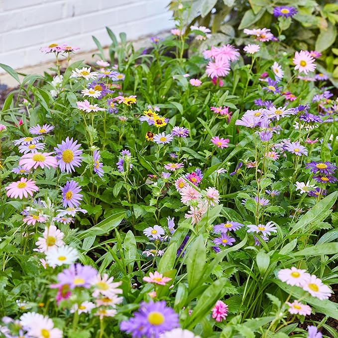 Modern Sprout Wildflower Seed Ball Poop - Easter Basket Essentials - Non-GMO, Hand-Rolled Clay Seed Bombs with Wildflower Seeds - Gardening Gift Set for Kids & Adults - (Easter Plop - Pack of 3)