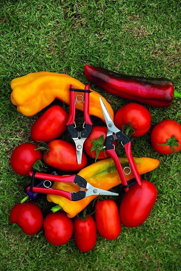 Felco F320 Pruning Snips – 6" Swiss-Made Garden Clippers with Curved Blade & Rounded Tip | Pruning Shears for Gardening | Garden Snips and Pruners with Carbon Steel Blade, Sap Groove