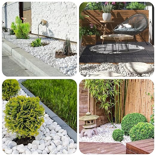 White Rocks for Plants, 1-2 Inch Pebbles for Indoor Plants, 2 lbs River Rocks Decorative White Stones, Ideal for Fish Tank, Vases, Crafting, Home Decor and Garden Landscaping Rocks