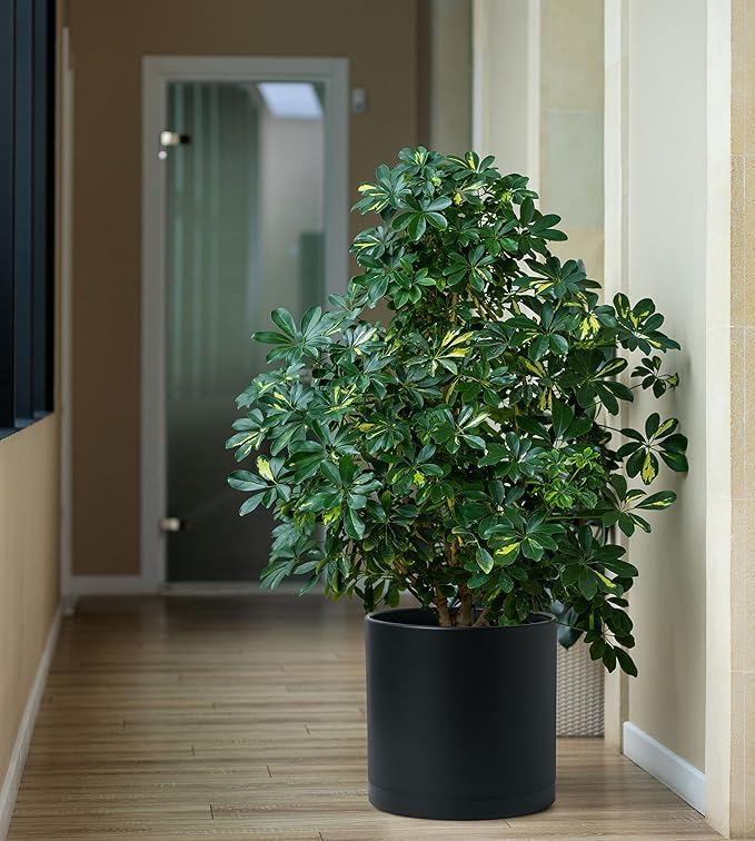 D'vine Dev 2 Pack 12 Inch Modern Plastic Plant Pots, Small Garden Planters for Plant with Drainage Holes and Saucers, Black Color, 74-Y-P-1