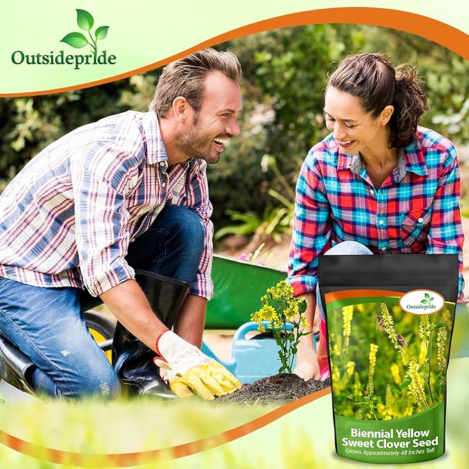 Outsidepride Yellow Sweet Clover Seed - 10 lbs Biennial, Drought-Tolerant, Frost-Resistant, Nitrocoated, Inoculated Yellow Clover Seeds Cover Crop for Forage, Honey Production, & Pollinators