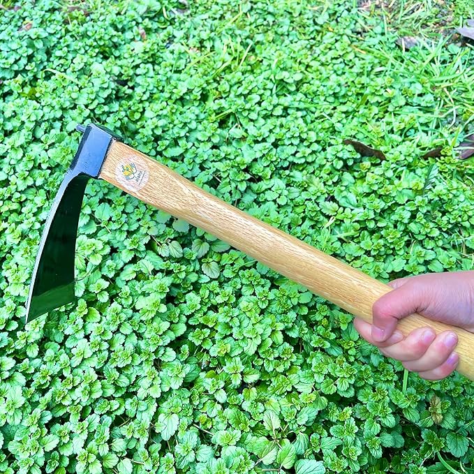 14 Inch Heavy Duty Wide Hoe, Japanese Carbon Steel with Oak Wooden Handle, Without Welding, Garden Tool for Digging, Weeding, and Planting