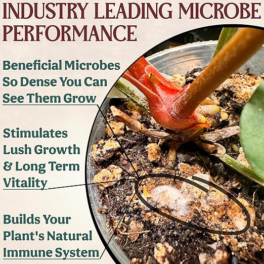 All-In-One Organic Succulent Fertilizer, Cactus Fertilizer, Succulent Plant Food, Bonsai & Cactus Food, 1lb bag = 25 Single Servings, Fast & Slow Release feeds up to 100 plants for 8 months