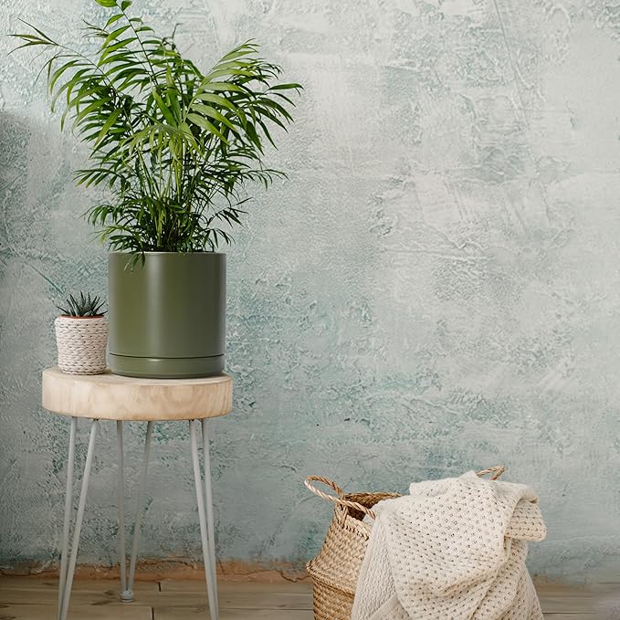 D'vine Dev Set of 2 Plants Pots, 8.2 Inch Ceramic Planter Pot for Plants with Drainage Hole and Saucer, Olive, 94-V-D-J