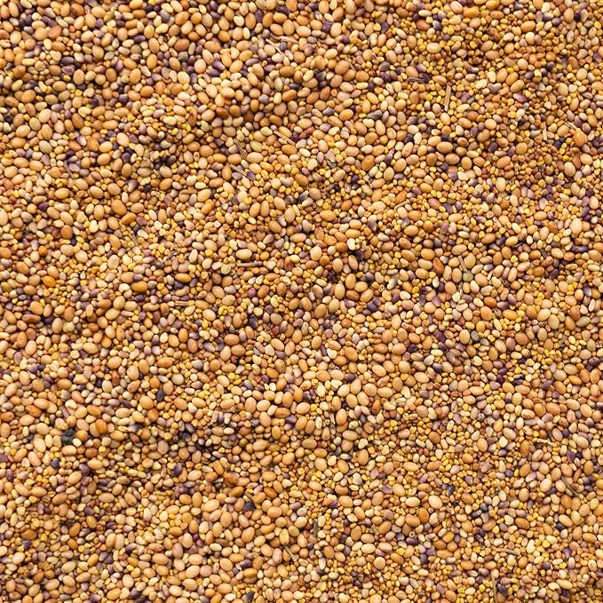 Clover Trio Seed Blend – Premium 25 LB Bulk ~4,480,000 Seeds – Red, White & Crimson Clover – Cover Crop & Soil Enrichment Mix