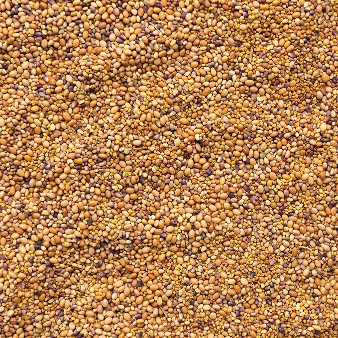 Clover Trio Seed Blend – Premium 1 Lb ~179,200 Seeds – Red, White & Crimson Clover – Cover Crop & Soil Enrichment Mix