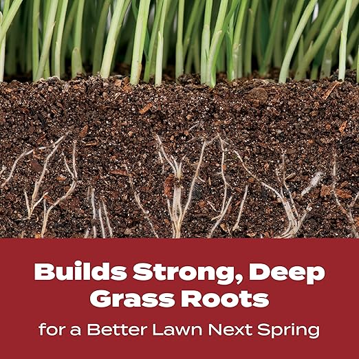 Scotts Turf Builder WinterGuard Fall Lawn Fertilizer for All Grass Types, 5,000 sq. ft., 12.5 lbs.