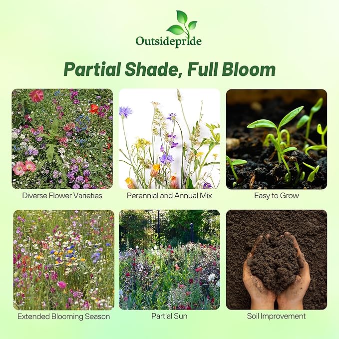 Outsidepride Partial Shade Wild Flower Seed Mix for All States - 1 lb. Premium Blend of Annual & Perennial Wildflowers, Perfect for Partial Shade Areas, & Outdoor Planting for Gardens & Lawns