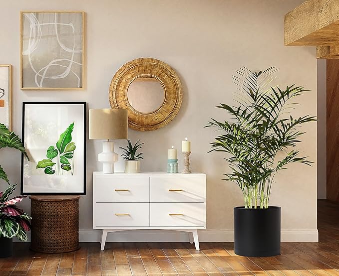 D'vine Dev 2 Pack 14 Inch Modern Plastic Plant Pots, Small Garden Planters for Plant with Drainage Holes and Saucers, Black Color, 74-Y-Q-1