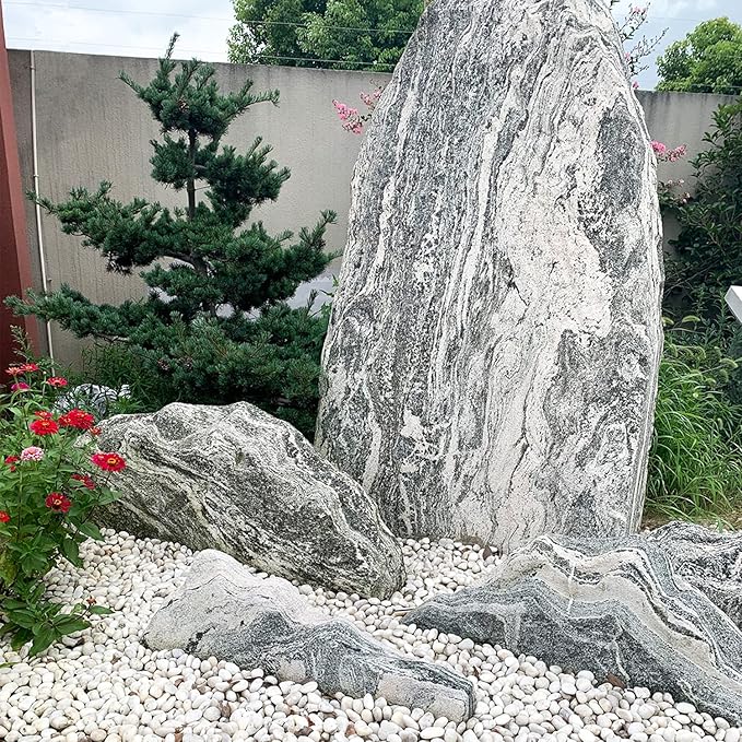 White River Rocks, Polished Pebbles for Indoor Plants, Decorative White Stones for Plants, Vase, Aquarium, Fish Tank, Landscaping and Garden(10 lbs,1-2 inch)