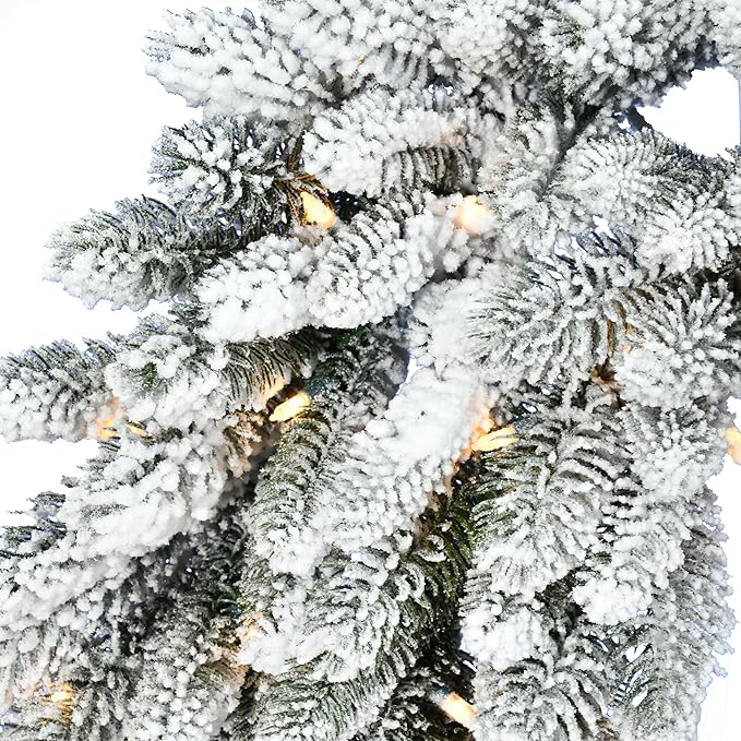 Fraser Hill Farm 24" Wreath with LED Lights