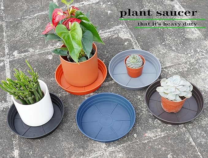 Plant Saucer 8 Inch 4 Pack 6 8 10 12 14 16 18 20 25, Plastic Plant Trays for Pots，Extra-Deep Plant Water Dray Tray, Bird Bath Bowl, Heavy Flower Plant saucers Indoors and Outdoor No Holes 8in-4 red
