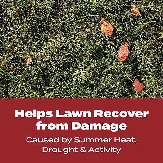 Scotts Turf Builder WinterGuard Fall Lawn Fertilizer for All Grass Types, 5,000 sq. ft., 12.5 lbs.