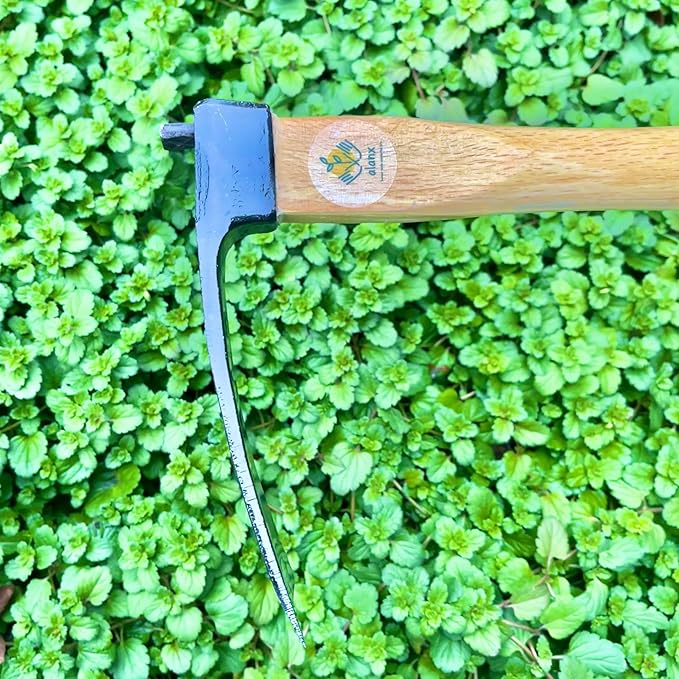 14 Inch Heavy Duty Wide Hoe, Japanese Carbon Steel with Oak Wooden Handle, Without Welding, Garden Tool for Digging, Weeding, and Planting