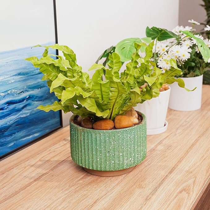 2 LBS River Rocks, StoneCreek, Decorative Garden Stones for Plant Landscaping, Polished Gravel Filler Pebbles for Home Decoration, Vases, Succulents, Flower Beds and Fish Tanks (Pale Yellow, Medium)