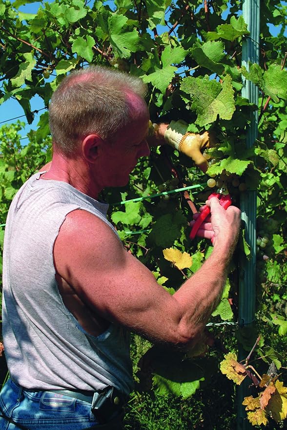 Felco F310 Pruning Snips – 7.3" Lightweight Garden Clippers for Fine Trimming & Harvesting | Pruning Shears for Gardening | Garden Snips and Pruners with Forged Aluminum Handles, Precision Tip