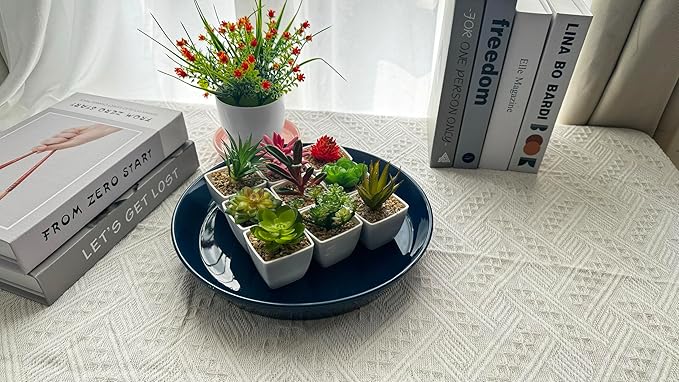 14 Inch Plant Saucer Tray 4 5 6 8 10 12 14 15 Inch Ceramic Plant Saucers for Indoors Outdoor, Drainage Drip Water Trays for Planter Pots Flower, Glazed Pot Saucers Trays (15 Inch)