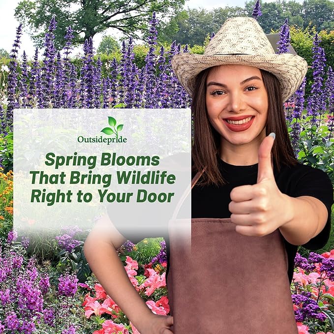 Outsidepride Birds & Butterfly Wild Flower Seed Mix - 1 Lb. Premium Blend of Annual & Perennial Wildflower Seeds for Attracting Songbirds, Hummingbirds, & Butterflies