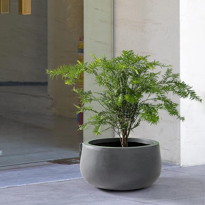 Kante 15.7" Dia Round Concrete Planter, Cement Plant Pots with Drainage Hole and Rubber Plug for Outdoor Indoor Garden Home, Modern Curvaceous Design, Dark Gray