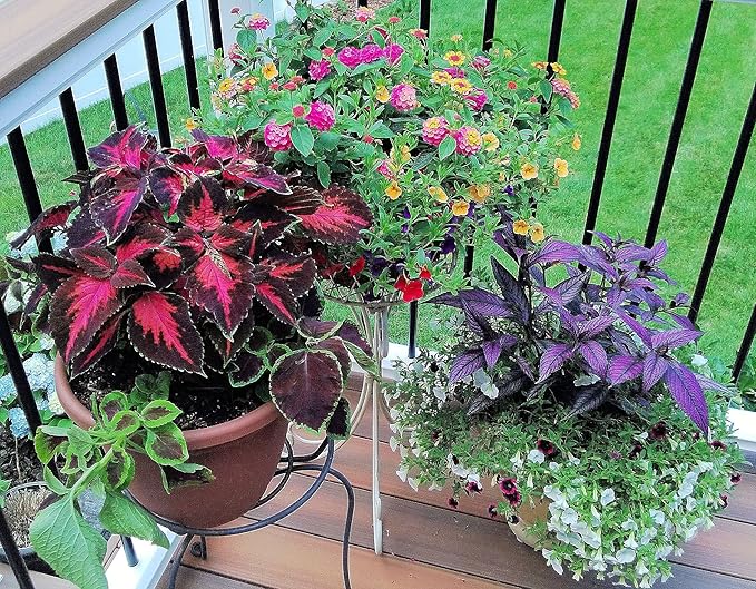 100 EarthPods - Premium Flower Fertilizer Spikes - Boost Blossoms (Great for Roses, Potted Annuals, Perennials, Flower Bulbs, Hanging Baskets) - Made in USA